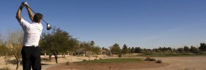 painred desert golf homes