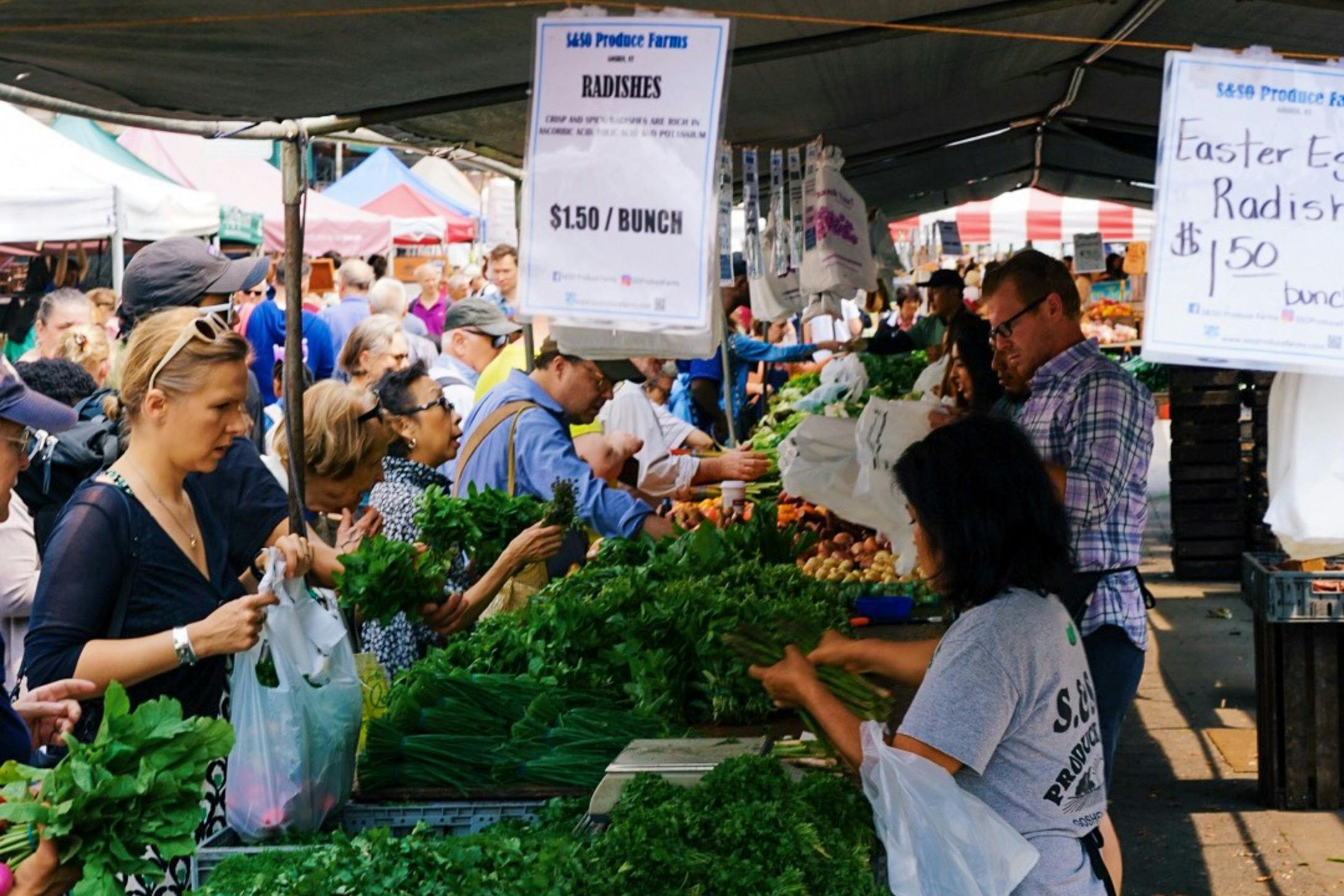 pexels-meganbucknall-2448523