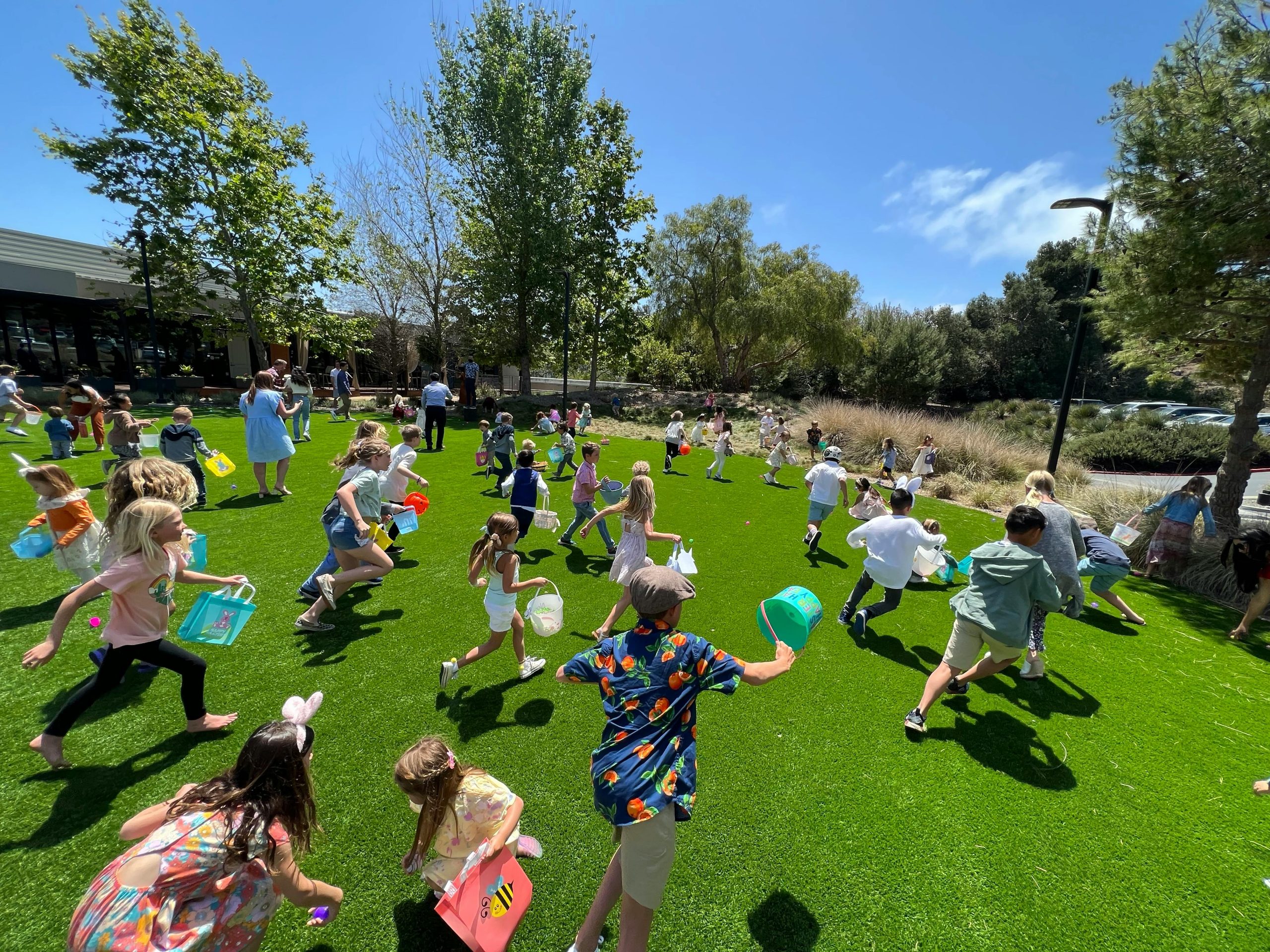 pexels-paula-serrato-500660356-16098265